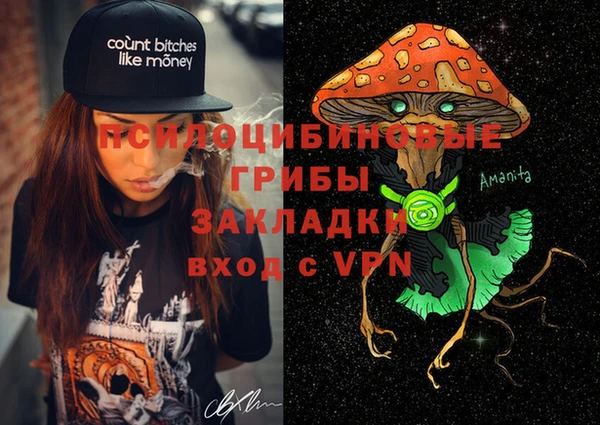 2c-b Алзамай