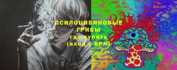 2c-b Алзамай