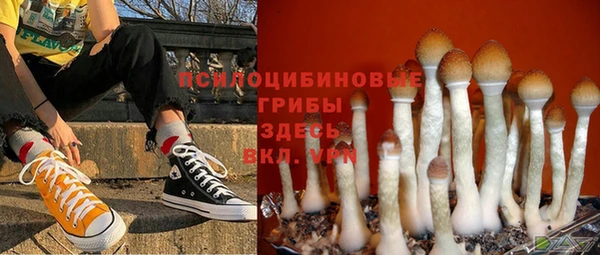 дмт Алексин
