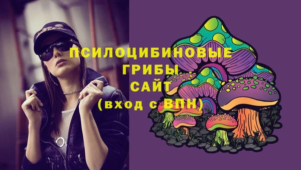 ECSTASY Алексеевка